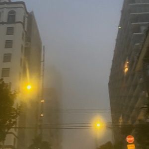 Meet your Posher, Amelia